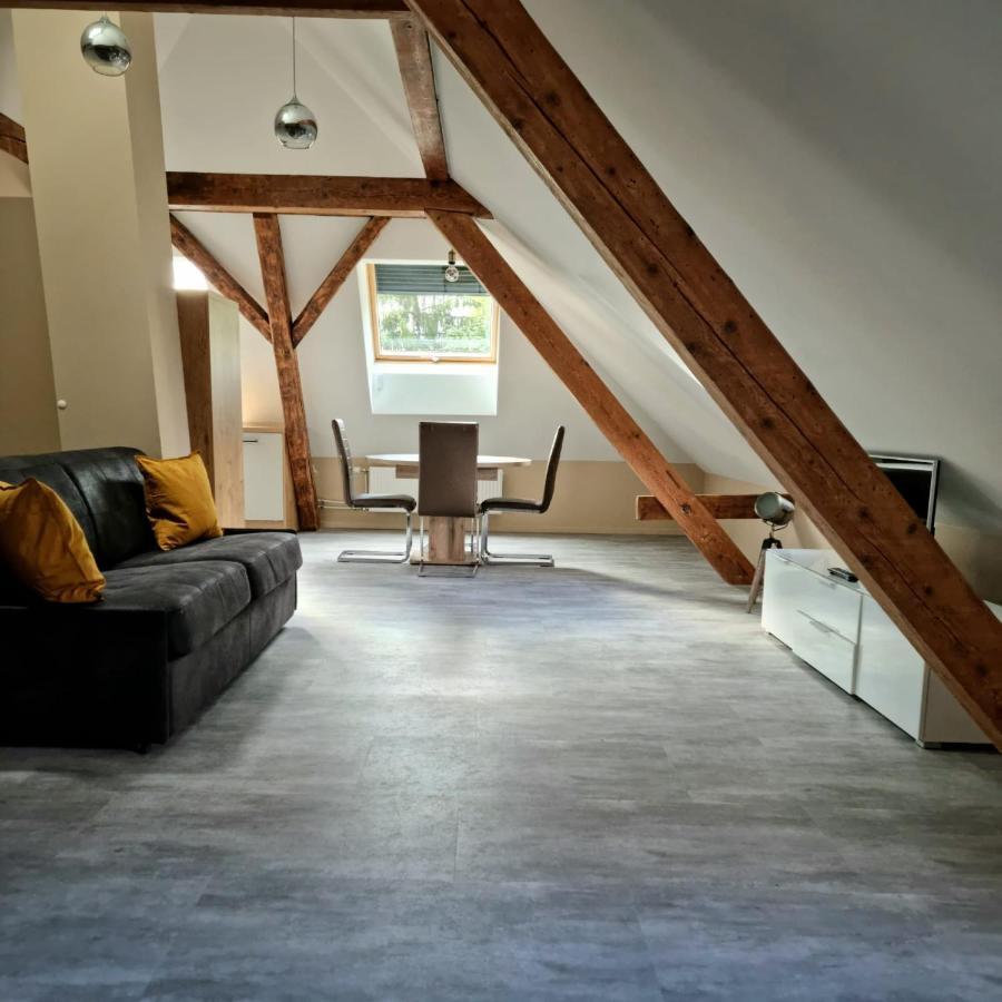 Appartement Henner Des Trois Frontieres à Saint-Louis  Extérieur photo