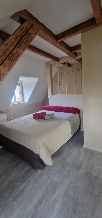 Appartement Henner Des Trois Frontieres à Saint-Louis  Extérieur photo